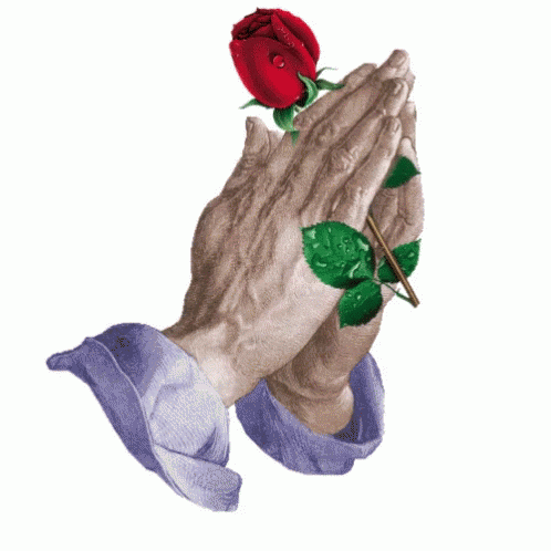 praying hands with roses
