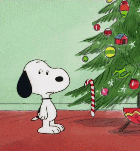 Merry Christmas Funny GIF - Merry Christmas Funny Happy - Discover & Share  GIFs