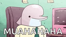 Dolphin Laugh GIF - Dolphin Laugh Laughing GIFs