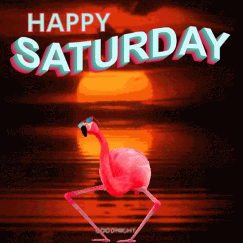 Happy Saturday GIF - Happy Saturday Pinkus GIFs