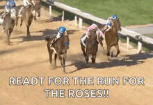 Kentucky Derby Horse GIF