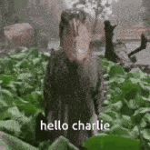 Hello Charlie GIF - Hello Charlie GIFs