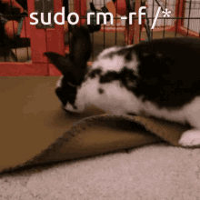 sudo rm rf linux linux users bunny rabbit
