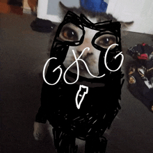 Cat Gkg GIF - Cat Gkg Grittykittygaming GIFs