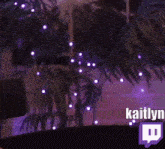 kaitlyn kaitlyn sc2 cute pet twitch twitch streamer