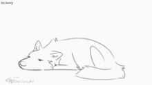a black and white drawing of a wolf laying on its back on a white background .