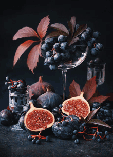Pomegranates Blueberries GIF