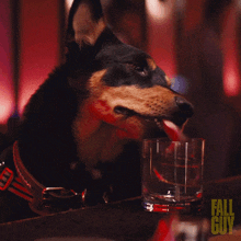 Drinking The Fall Guy GIF - Drinking The Fall Guy Quenching My Thirst GIFs