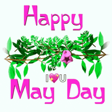 a pink flower is surrounded by green leaves and the words `` happy may day ''