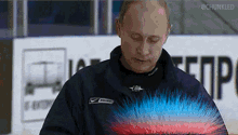 Putin Hair Blue Hair GIF