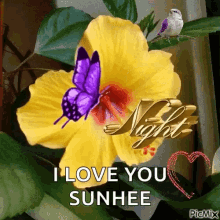 I Love You Sunhee Good Night GIF - I Love You Sunhee Good Night Butterfly GIFs
