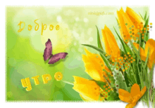 Dobroe Utro Tulips GIF - Dobroe Utro Tulips Morning GIFs