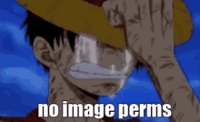Luffy Crying GIF