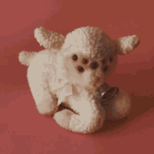 GIF