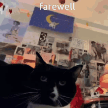 Cat Goodbye GIF - Cat Goodbye Farewell GIFs