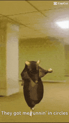 a hamster is dancing in a hallway with the words they got me runnin ' in circles below it