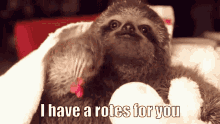 Rotes Sloth GIF - Rotes Sloth Small GIFs