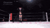 a woman in a mask is standing in a wrestling ring with a stardom world logo behind her