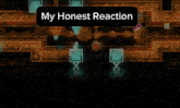 a screenshot of a video game with the words my honest reaction at the top