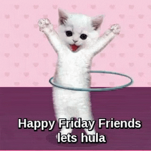 Cute Cat GIF – Cute Cat Happy Friday – discover and share GIFs