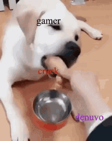 Gamer Crack GIF - Gamer Crack Denuvo GIFs