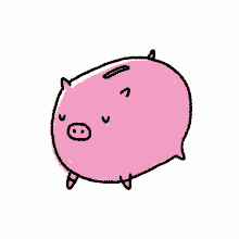 kstr kochstrasse pig animal money