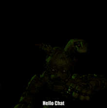 a picture of a bunny with the words hello chat on the bottom