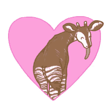 natelle okapi valentines love love you