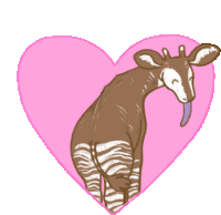 Natelle Okapi Sticker - Natelle Okapi Valentines Stickers