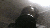 a person taking a picture of themselves with a camera