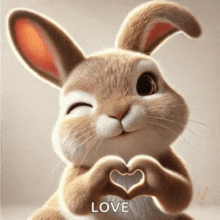 a rabbit is making a heart shape with its hands