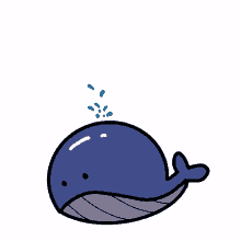 whale ocean