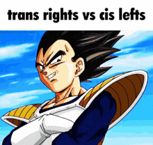 a cartoon character with the words trans rights vs cis lefts on the bottom