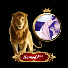 Hamo55 Hoamk GIF - Hamo55 Hoamk GIFs
