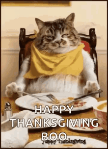 Happy Thanksgiving Grumpy GIF - Happy Thanksgiving Grumpy Greetings GIFs