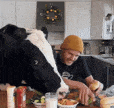 a man and a cow in a kitchen with a wreath on the wall above them