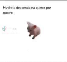 Welcome To The Mato Novinha Descendo Na 4x4 GIF - Welcome To The Mato Novinha Descendo Na 4x4 4x4 GIFs