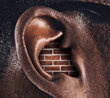a man 's ear with a brick wall in it
