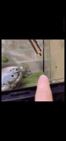 finger frog cute jump