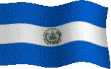 Elsavador Flag GIF - Elsavador Flag GIFs
