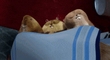 Norm Of The North Lemmings GIF - Norm Of The North Lemmings Wake Up GIFs