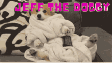 Jeff Jeff Dog GIF - Jeff Jeff Dog Jeffy Boy GIFs