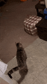 Snickers George GIF - Snickers George Baby George GIFs