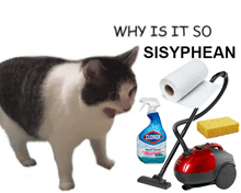a cat is standing next to a clorox bottle