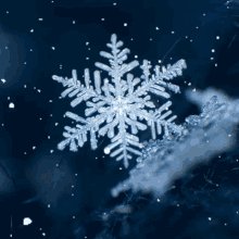 Iced Souls Hypixel Guild GIF - Iced Souls Hypixel Guild Snowy GIFs