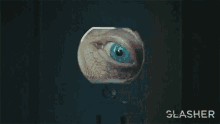 Peeking From The Hole Spencer Galloway GIF