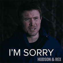 Im Sorry Charlie Hudson GIF - Im Sorry Charlie Hudson Hudson And Rex GIFs