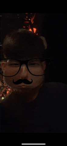 a person with glasses and a mustache on their face