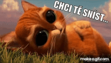 Pussinboot GIF - Pussinboot GIFs
