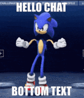 Sonic The Hedgehog Hello Chat GIF - Sonic The Hedgehog Hello Chat GIFs